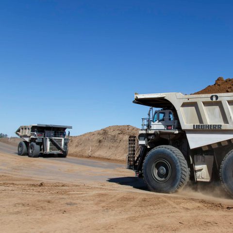 Liebherr A Bauma Con Il T Dumper Da Tonnellate E Construction