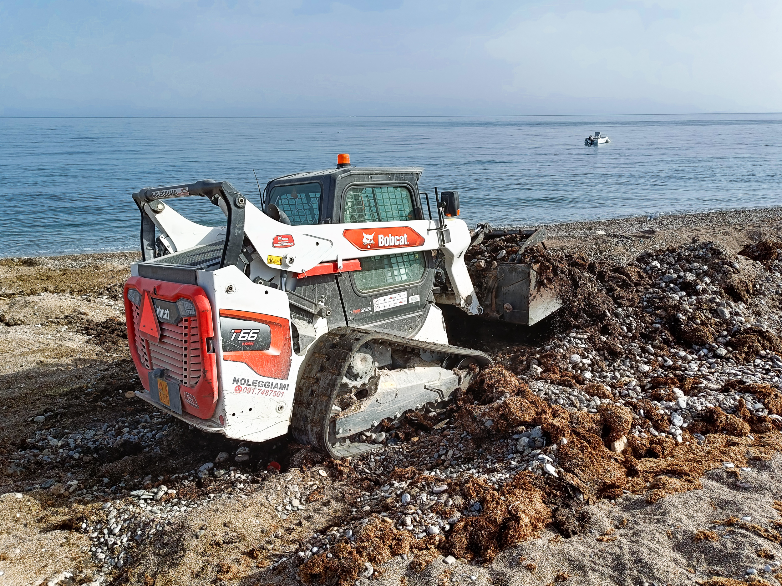 Il carico delle alghe sui camion è stato effettuato con la BOBCAT T66