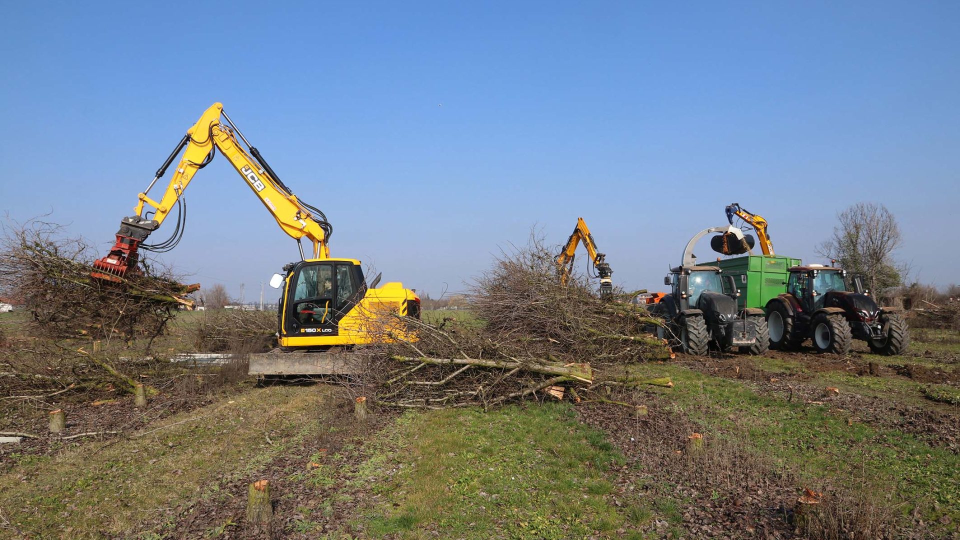 Le macchine JCB operano con efficienza elevata nella rimozione dei frutteti