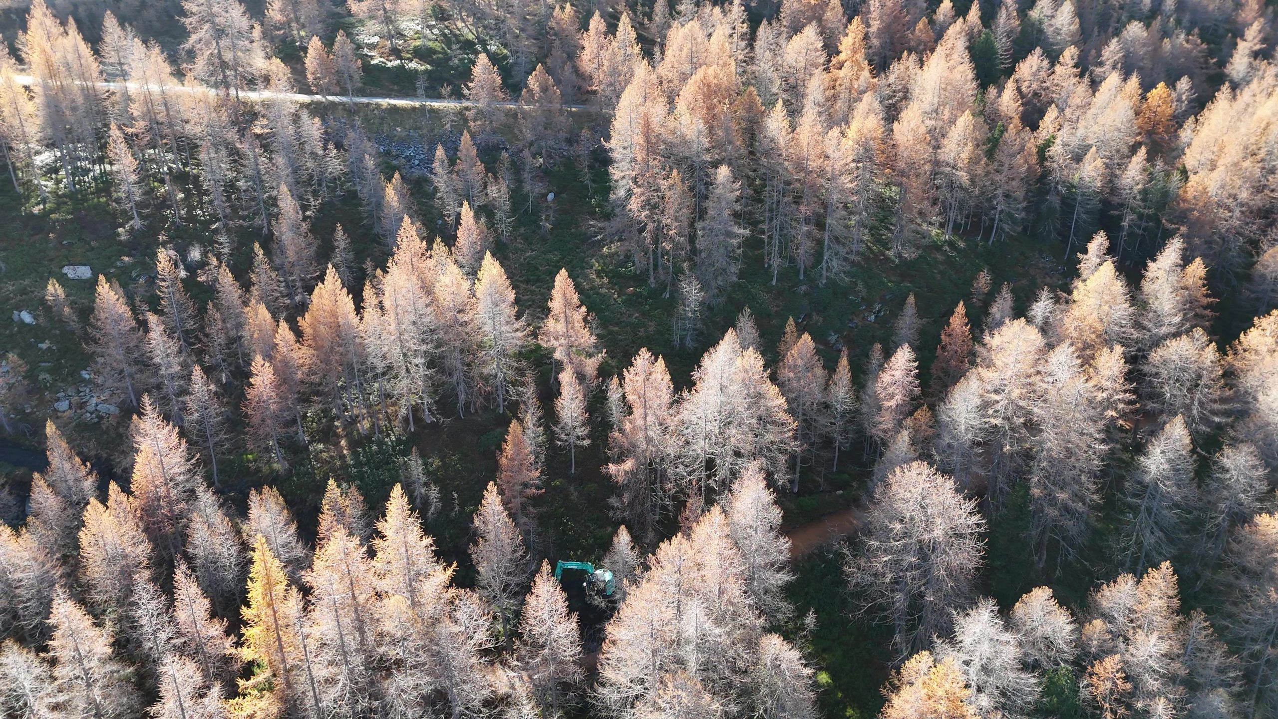 Kobelco è un marchio diffuso in Val d'Aosta grazie alla presenza della Nolocom