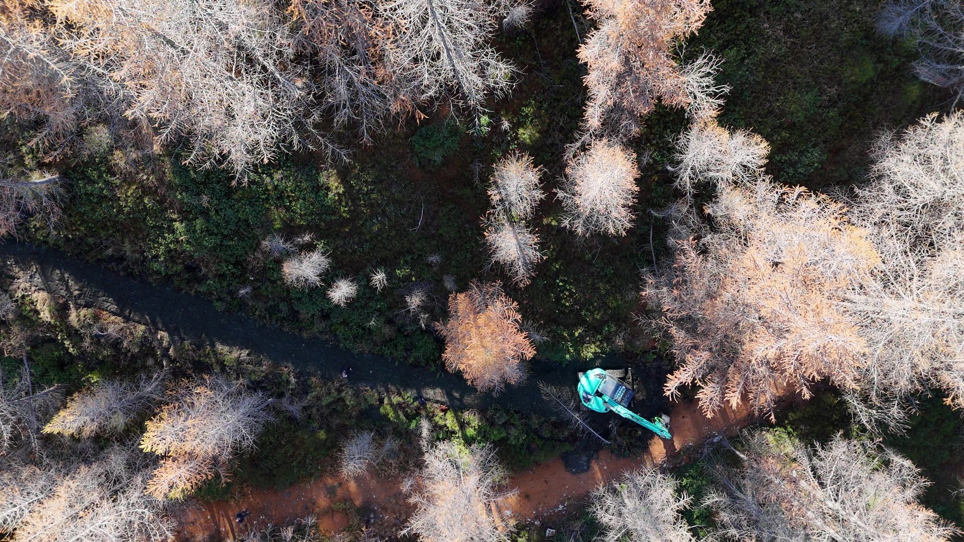 Le macchine Kobelco sono ben presenti nei lavori estivi sulle piste dal Val d'Aosta