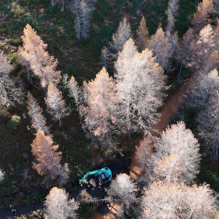 KOBELCO ha una gamma di escavatori cingolati estremamente verticalizzata